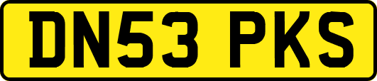 DN53PKS