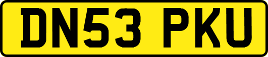 DN53PKU