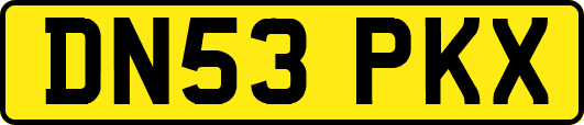 DN53PKX