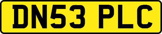DN53PLC