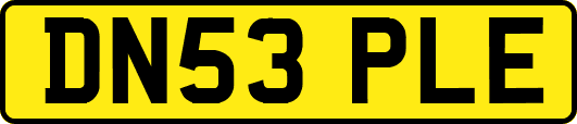 DN53PLE