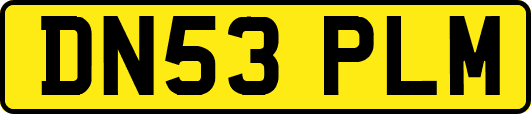 DN53PLM