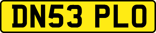 DN53PLO
