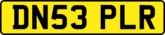 DN53PLR