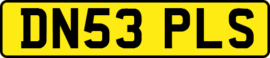 DN53PLS