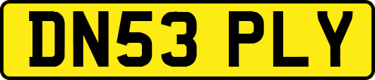 DN53PLY