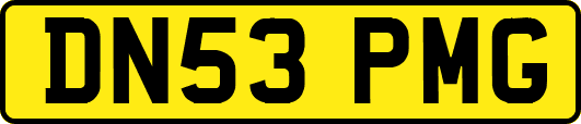 DN53PMG