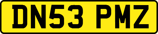DN53PMZ