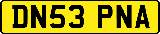 DN53PNA