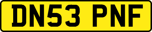 DN53PNF