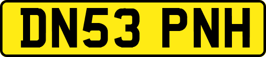 DN53PNH