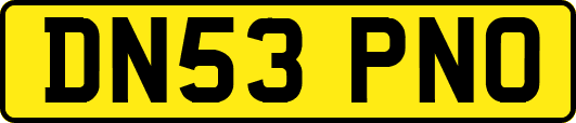DN53PNO