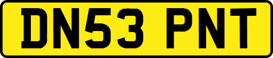 DN53PNT