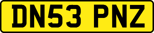 DN53PNZ