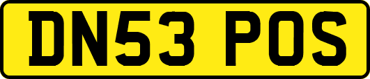 DN53POS