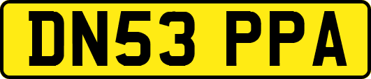 DN53PPA