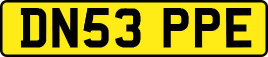 DN53PPE