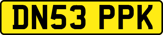 DN53PPK