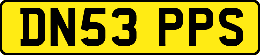 DN53PPS