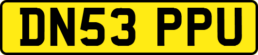 DN53PPU