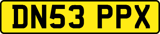 DN53PPX