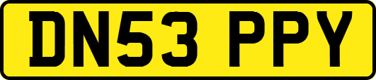 DN53PPY