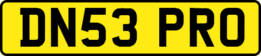 DN53PRO