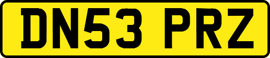 DN53PRZ