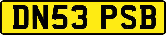 DN53PSB