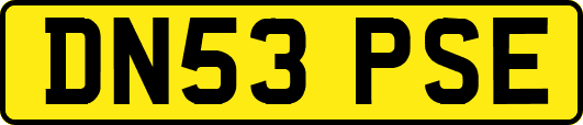 DN53PSE