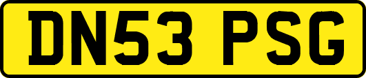 DN53PSG