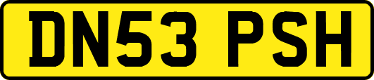 DN53PSH