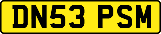 DN53PSM