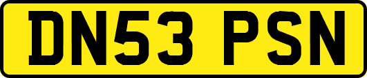 DN53PSN