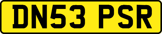 DN53PSR