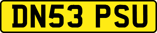 DN53PSU