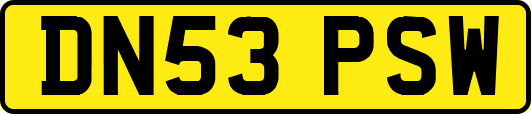 DN53PSW