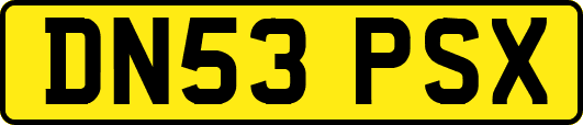 DN53PSX