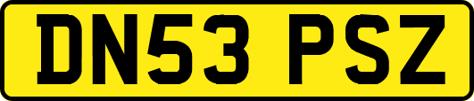 DN53PSZ