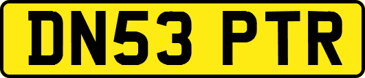 DN53PTR