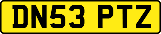 DN53PTZ
