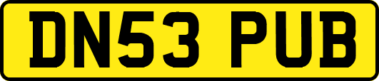 DN53PUB