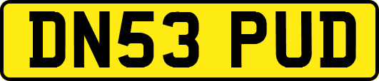 DN53PUD