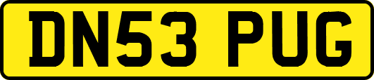 DN53PUG