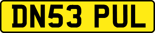 DN53PUL