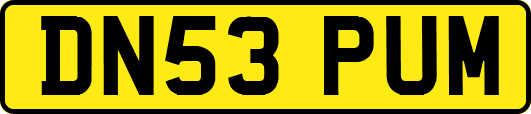 DN53PUM