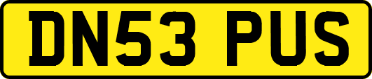 DN53PUS