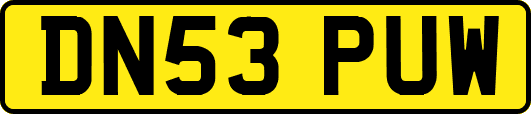 DN53PUW