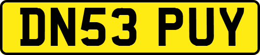 DN53PUY