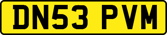 DN53PVM